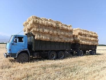 ош эвакуатор: Прицеп, Камаз, Самосвал — 5