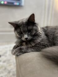 майлу суу: Мальчик — 1