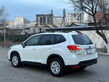 forest: Subaru Forester: 2019 г., 2.5 л, Автомат, Бензин — 4