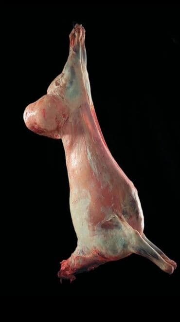 Баранина at lalafo.kg Баранина