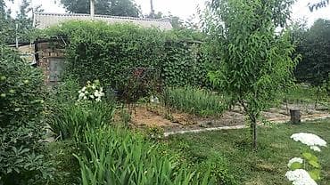 🏡 Продается дача в дачном поселке «Энергетик» (ГЭС-6) Продается