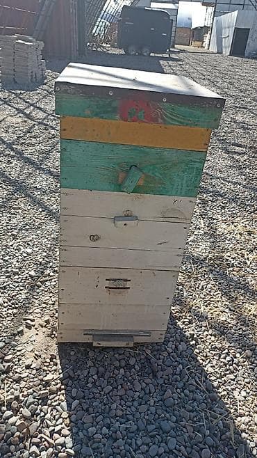 куплю ящик: Деревянный Ящик — 1