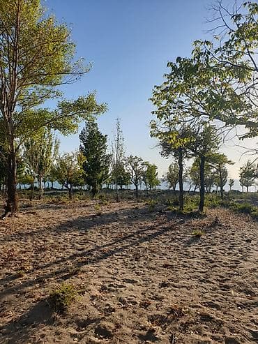 Жер тилкелери: 200 соток, Курулуш, Башкы ишеним кат — 2