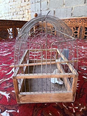 Кошки: Клетка для птиц с деревянным основанием и металлическими прутьями - — 2