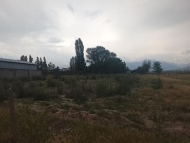 бахта: Арендага Жер берилет 24 соток Кашка-Баш айылында магистраль жолуна — 4