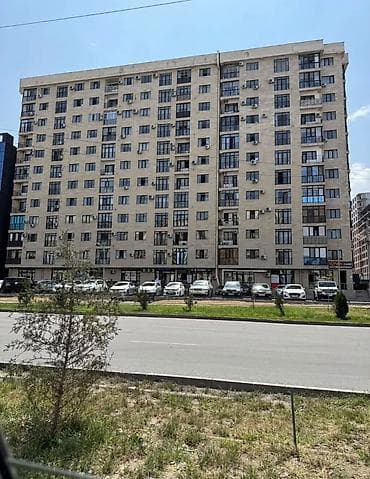 pro group: 3 комнаты, 108 м², Ала-Арча ТРЦ Элитка, 5 этаж, Евроремонт — 10