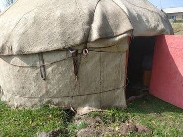 Спорт жана хобби: Боз үйлөр сатылат, Каркасы Жыгач, 70 баш, Диаметри: 5.5 метр — 5