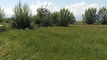 Жер тилкелери: 10 соток, Курулуш, Кызыл китеп — 2