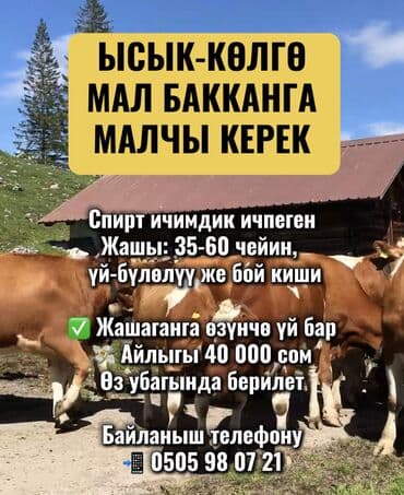 упаковщица на дому: Требуется Пастух, Оплата Ежемесячно, Питание — 1