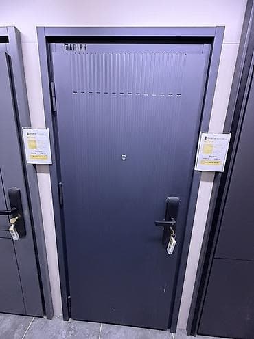 mf doom: Двери для домов и квартир, Металлическая, Одностворчатая, Китайская, цвет - Синий — 1