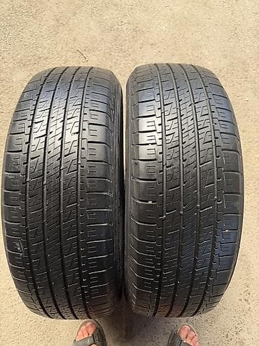 Летние шины Goodyear 225/60 R18 100H - Производитель: Goodyear -