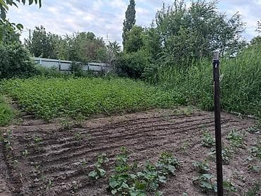 сниму дом лебединовка: 🏡 Продаётся уютный дом в районе Покровки! ✔ 4 большие, просторные — 6