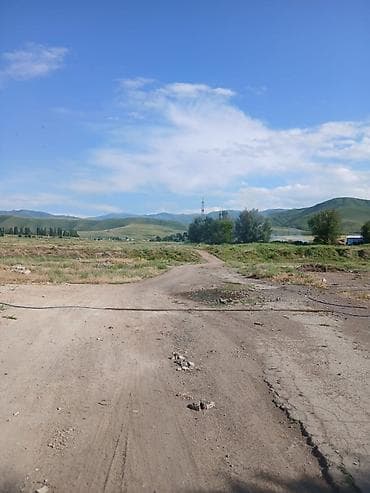 Срочно продаётся дом с большим участком 25соток.г.Орловка ул