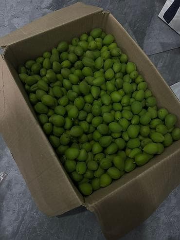 цена вишни на рынке: Абрикосы — 2