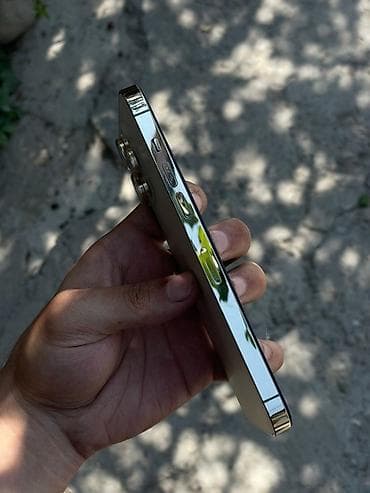 rant ace: IPhone 14 Pro Max, Новый, 128 ГБ, Золотой, Чехол, 94 % — 10