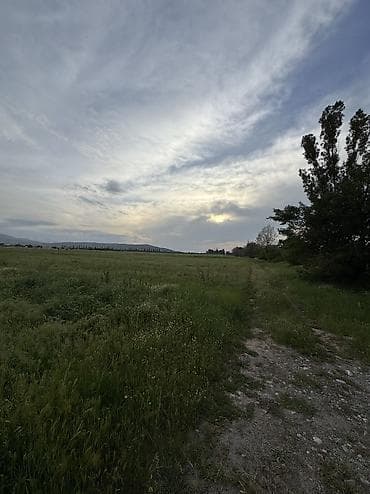куплю участок пригородный: 282 соток, Для строительства, Договор купли-продажи, Красная книга — 8