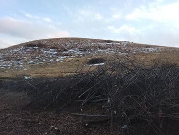 отдам даром двери: Дрова бесплатно . Неограниченное количество. Самовывоз. Спиленные — 3