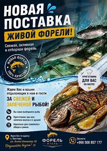 мопс бишкек: Живая форель — свежая, активная и отборная. Новая поставка. Что — 1