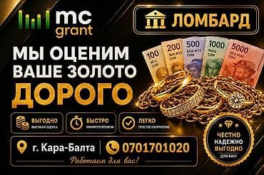 золотые сепочки: Ломбард, Компания | Займ | Без поручителей — 1