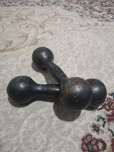 Гантели: Продам гантели пара СССР, по 2 кг — 2