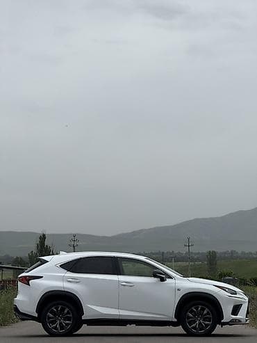 dio af27: Lexus NX: 2019 г., 2 л, Автомат, Бензин, Кроссовер — 2
