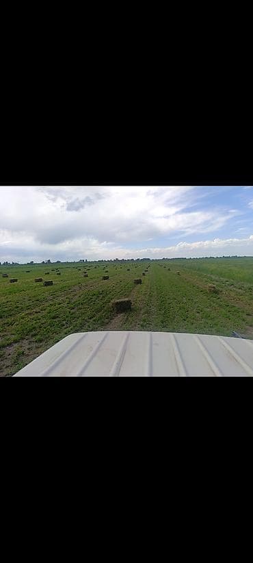 Ассаламу алейкум! Жамаат, Тюк жүктөйбүз. Бригада бар. Керек болсо