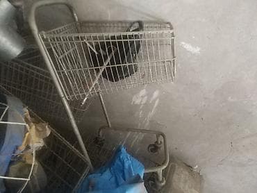 Тележки тележки производства Польша пригодятся для минимаркетов