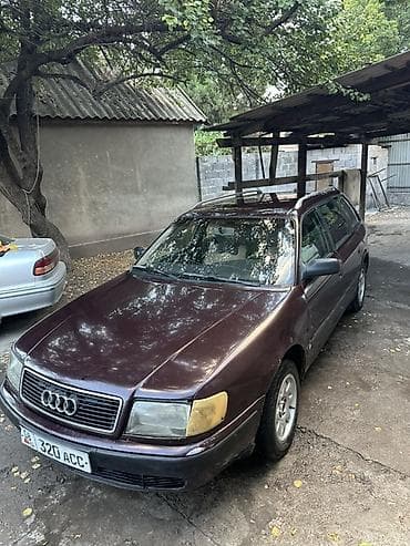 cls 450: Audi 100: 1993 г., 2 л, Механика, Бензин, Универсал — 1