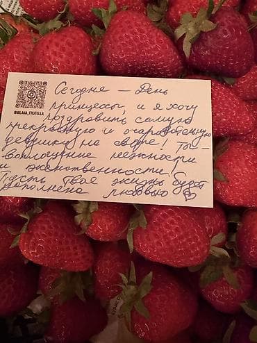 бир: Кулпунай Альбион, Чекене, Дүңүнөн — 7
