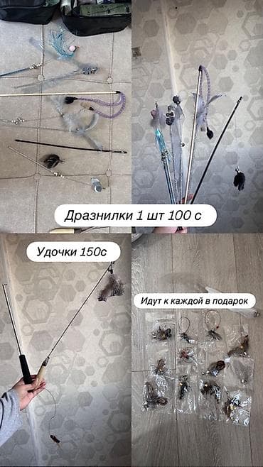 вещи для кошек: Зоотовары для кошек - все на фото, можно по отдельности. Все позиции — 3