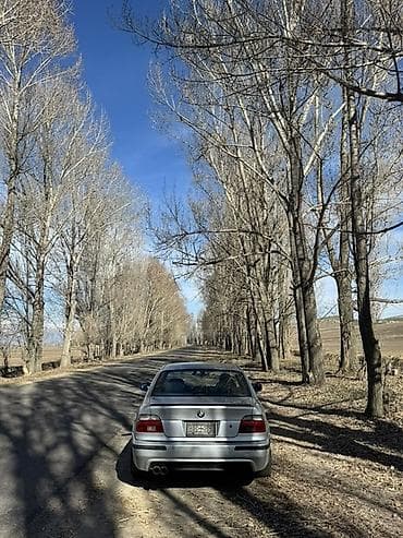 BMW: BMW 5 series: 2002 г., 3 л, Кол менен иштөөчү, Бензин, Седан — 4