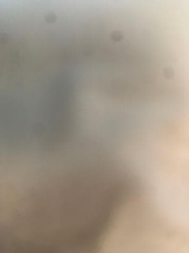 Вакансиялар: Талап кылынат Чабан, Төлөм: Ай сайын, Форма — 1