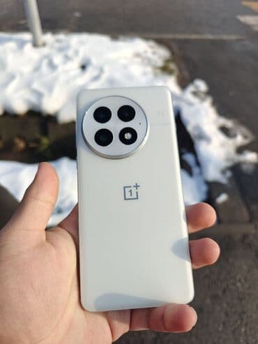 OnePlus 13, 256 ГБ, цвет - Белый, 2 SIM