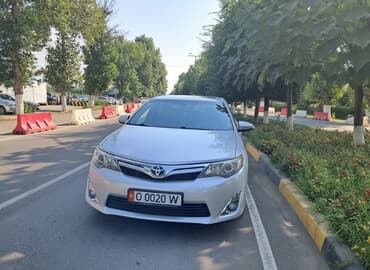 коврик на авто: Toyota Camry: 2013 г., 2.5 л, Автомат, Бензиновая, Седан — 1