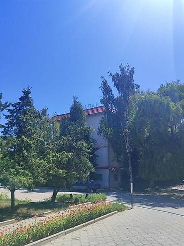 на исык куле: Сдаю летние кафе навес всё есть для работы сразу работайте не дорого — 3