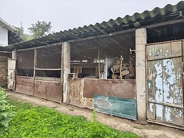 село ленском дома: СЕЛО ОРТО САЙ Продаётся жилой дом с участком и хозяйственными — 2