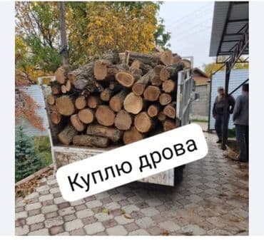 куплю деревья на дрова: Дрова — 1