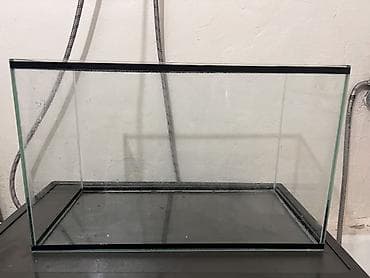 Стеклянный аквариум прямоугольной формы. - Прозрачные стенки из