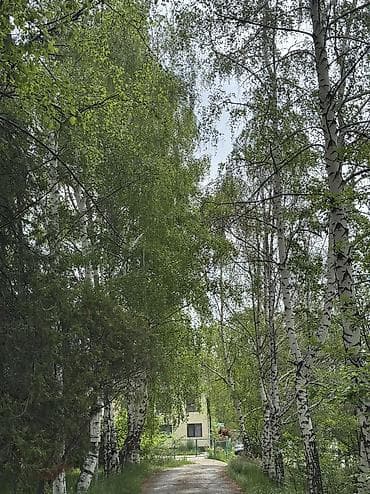 пансионаты иссык куль чолпон ата: Сдаются номера на берегу Иссык Куля . Звоните ! есть ватс ап — 3