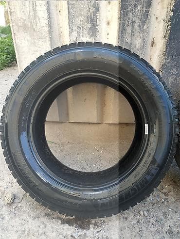 Шины 225 / 65 / R 17, Зимняя шипованная, Б/у, Пара, Внедорожные (АТ/МТ), Michelin — 3