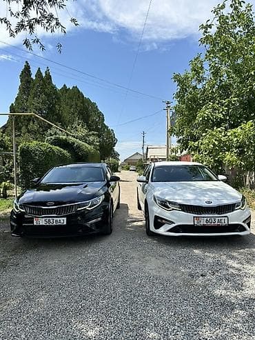byd e2 2019: Kia K5: 2019 г., 2 л, Автомат, Газ, Седан — 2