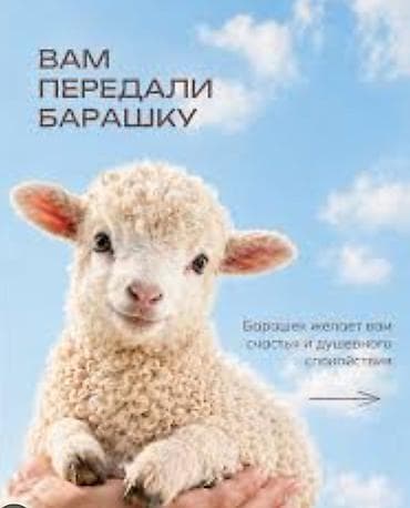 Ищу спонсора есть кашар,земля