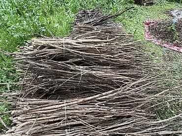 кант уголь: Дрова Самовывоз, Платная доставка — 7