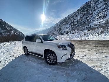 gx 2008: Lexus GX: 2010 г., 4.6 л, Автомат, Бензин, Внедорожник — 10