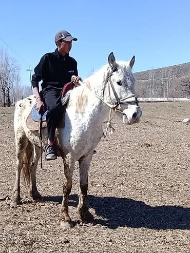 Сатам | Байтал | Жумушка — 2