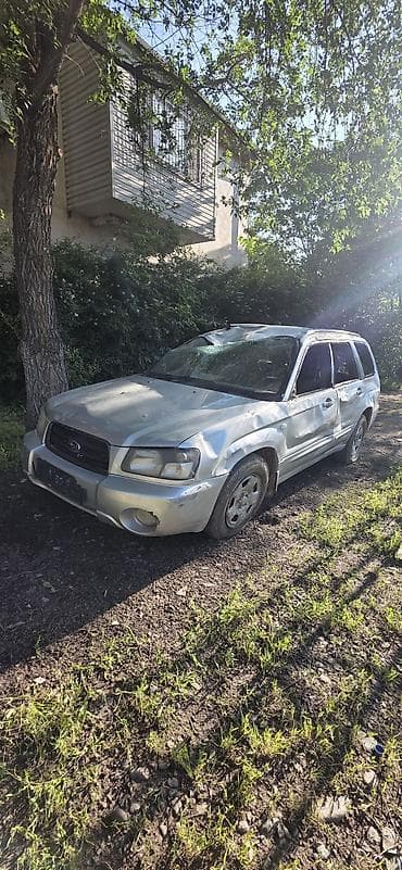 forester: Subaru Forester: 2003 г., 2 л, Автомат, Бензин, Универсал — 5