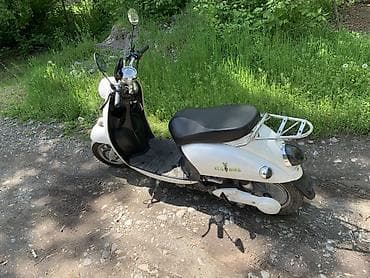 муравей руль: Электроскутер Eco Bike (бренд на борту), стиль ретро.Обмен на авто или — 5