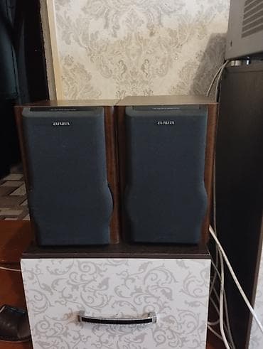 xbox one to: Акустическая система Aiwa SX-LM50 (пара) - Тип: полочные пассивные — 3