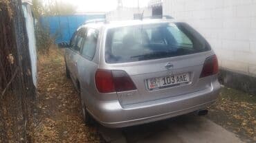 Бала бакчалар, бала багуучулар: Кузовные малярные работы цены договорные — 5