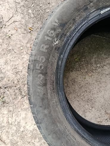 r16 лето: Шины 205 / 55 / R 16, Лето, Б/у, 1 шт, Легковые, Германия, Continental — 2
